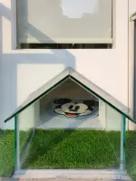 투명 유리 도그하우스 포토존 인테리어